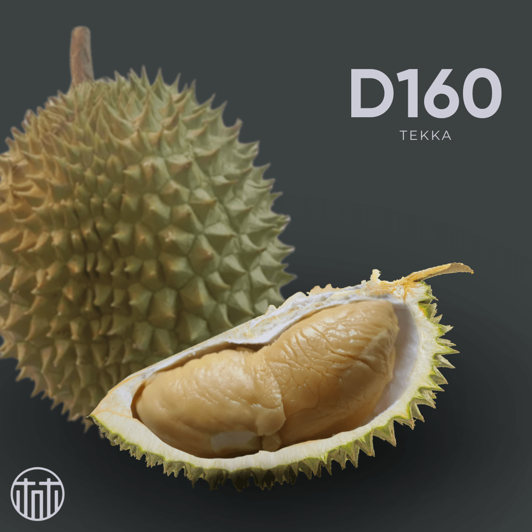 Tekka Box - Durian Lims